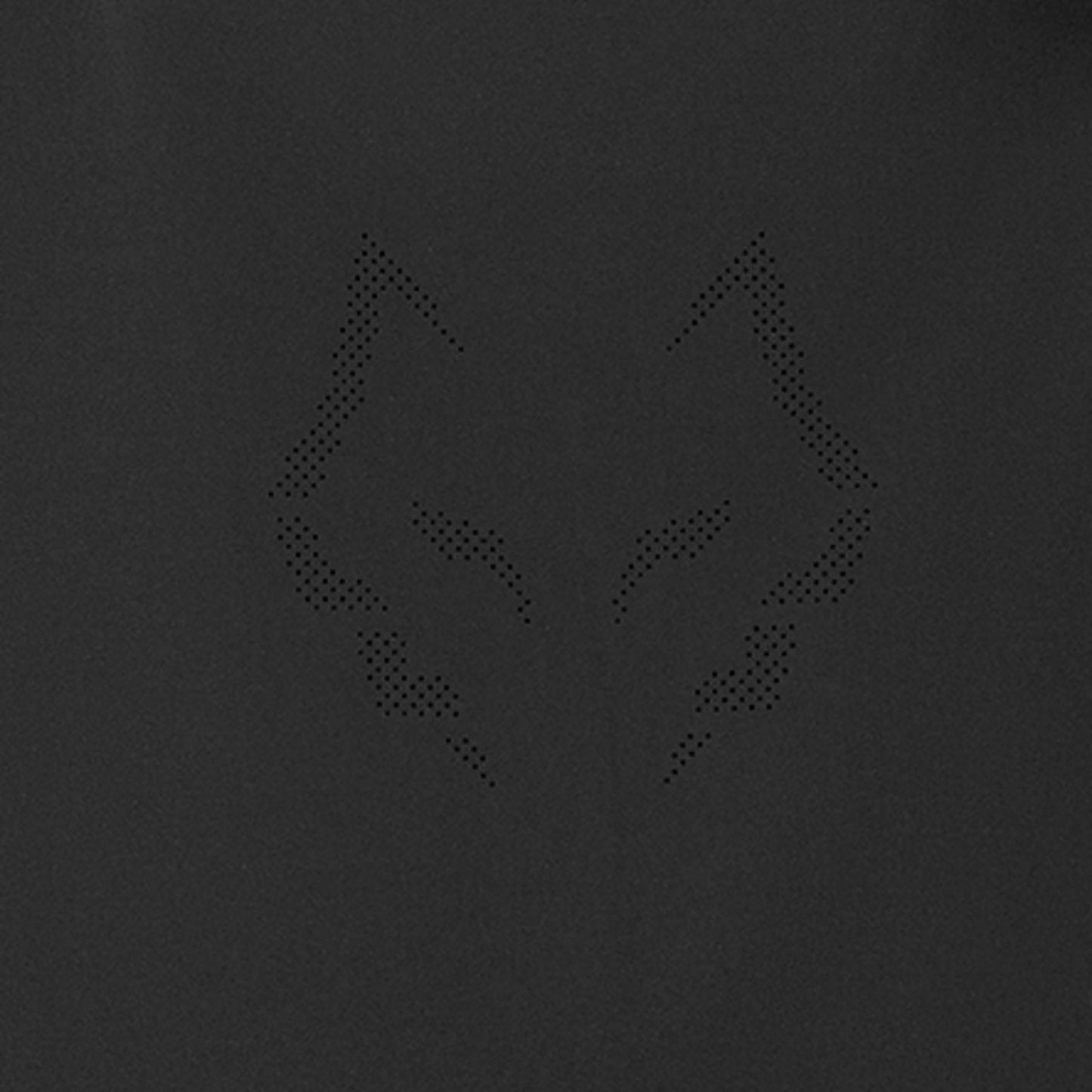 BABOLAT CHAMARRA JACKET TECH LEBRON MEN